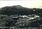 APPENNINO REGGIANO  VALICO DEL CERRETO MONTE CAVALBIANCO   REGGIO EMILIA   VIAGGIATA COME DA FOTO - Reggio Nell'Emilia