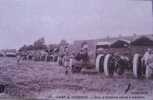 CAMP DE SISSONNE - Parc D´Artillerie Lourde à Tracteurs - Sissonne