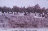 CAMP DE SISSONNE - Batterie De 75 En Action - Sissonne