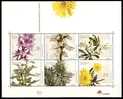 (008) Madeira  Plants / Forests Sheet / Bf / Bloc Flora / Forets / Wälder / Lorbeer  ** / Mnh  Michel BL 21 - Madeira