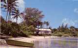 Antilles - Bermude - Mangrove Bay In Somerset At West End Of Bermuda - Bermudes