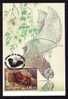 Maximum Card - Bats 2006 Cancell FDC - Romania Very Rar Personal Realization.!! - Pipistrelli