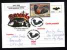 DRACULA - VLAD TEPES - Bats  Post Card,2006 Cancell FDC - Romania Very Rar Personal Realization.!! - Chauve-souris