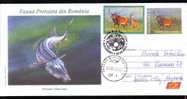 Cervus Rare Cover Stationery Cancell 2009 FDC,stamp On Cover,obliteration Concordante -Romania. - Wild