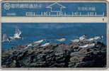 # TAIWAN D5060 Sea Birds 100 Landis&gyr -birds,oiseaux-    Tres Bon Etat - Taiwan (Formose)