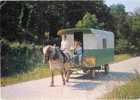 SAINT ST HILAIRE DU HARCOUET 50600 Vacances En Roulotte En Normandie J DINARD 1974 (cheval ) - Saint Hilaire Du Harcouet