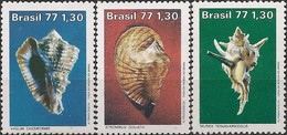 BRAZIL - COMPLETE SET SEA SHELLS 1977 - MNH - Schelpen