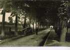 59 - Bethune - L'allee Des Marroniers - Solesmes