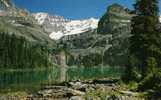 CANADA-THE CANADIAN ROCKIES Beautiful Lake O'Hara Centre Of One Of The Best Hiking Areas In The Canadian Rockies-MB - Autres & Non Classés