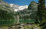 CANADA-THE CANADIAN ROCKIES Beautiful Lake O'Hara Centre Of One Of The Best Hiking Areas In The Canadian Rockies-MB - Other & Unclassified