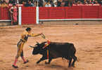 CORRIDA TOROS TAUREAUX TAUROMACHIE Cp Animée - Corrida