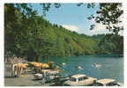 Besse Et Saint-Anastaise (63) : 2 DS Citroën Sur Le Parking De L'Embarcadère Du Lac Pavin Environ 1970 (animée). - Besse Et Saint Anastaise