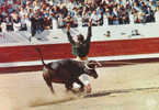 CORRIDA TOROS TAUREAUX TAUROMACHIE Cp Animée - Corrida