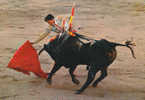 CORRIDA TOROS TAUREAUX TAUROMACHIE Cp Animée - Corrida