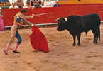 CORRIDA TOROS TAUREAUX TAUROMACHIE Cp Animée - Corrida