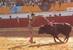 CORRIDA TOROS TAUREAUX TAUROMACHIE Cp Animée - Corrida