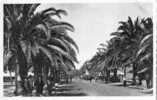 SIDI BEL ABBES (Algérie) Boulevard De La République - Sidi-bel-Abbes