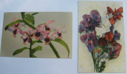 == Niederlanden , 2 Karten Blumen , Fleurs, Orchidees , Orchids  1915 - Brieven En Documenten