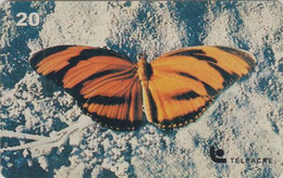 Télécarte BRESIL - ANIMAL - PAPILLON / Série Insectes 3/3 - BUTTERFLY BRAZIL BRASIL Phonecard / Teleacre - 69 - Brésil