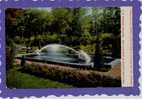 Fountains Playing At Canfield Park, Saratoga Springs, NY - Saratoga Springs