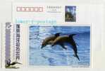 China 2005 Penglai Ocean Aquarium World Postal Stationery Card Bottle-nose Dolphin - Dauphins