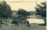 35 - CPA Forêt De Paimpont - Au Bord De L'Etang Des Forges - Paimpont