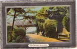 DORSET (was Hampshire) - CHINE BRIDGE  BOSCOMBE - Fancy Border - BOURNEMOUTH - Bournemouth (ab 1972)