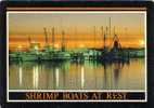 Shrimp Crevette Boats At Rest  Florida - Fishing Boats