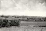 BRAKEL- POORT DER VLAAMSE ARDENNEN - Brakel