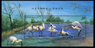 2004 TAIWAN BIRDS CONSERVATION MS - Nuovi