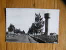 SAINT AMAND LONGRES / DE VENDOME / LA ROUTE DES BREVIAIRES ET LE CHATEAU D EAU DANS LES  VIGNE - Saint Amand Longpre