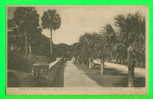 DAYTONA, FL - PALMETTO ROW - SO. BEACH STREET - CARD WRITTEN IN 1906 - ANIMATED - - Daytona