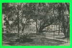 DAYTONA, FL - MAGNOLIA AVENUE - CARD WRITTEN IN 1906 - THE ROTOGRAPH CO - UNDIVIDED BACK - - Daytona