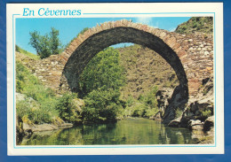 Frankreich; Cevennes; Gard Cévennes Pont De Chèvres Sur Le Gardon - Saint-Jean-du-Gard