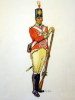 C1 DESSIN Couleurs BRITISH INFANTRY Napoleon JULLIAN - Other & Unclassified
