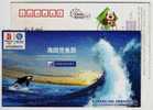 China 2006 Jiangxi Mobile Advertising Postal Stationery Card Freedom Like A Whale In Ocean - Baleines