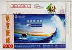 China Mobile 2006 Lichuan Branch New Year Greeting Advertising Postal Stationery Card,whale Freedom In The Sea - Whales