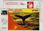 Whale,China 2004 Yunnan Post One World One Post Net Advertising Postal Stationery Card - Whales