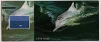 CN04 Qinzhou Sanniang Bay White Dolphin PSC Pink Dolphin,highly Endangered Species Indo-Pacific Humpbacked Dolphin - Delfines