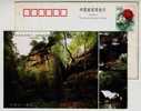 Monkey,wild Duck,China 2000 Tianchengyan Nature Heritage Ecological Tourist Site Advertising Pre-stamped Card - Singes