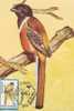 M63 Maximum Card Cartes Maximum Romania Oiseaux Birds Harpactes Fasciatus - Kolibries