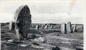 CARNAC  (les Alignements Du Menec) - Dolmen & Menhire