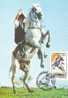 M123 Cartes Maximum Maxi Card Romania Sport Hippisme Training Beautiful Horse - Horses
