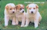 # KOREA MO9807127 Dogs 11000 Autelca 07.98 -dog,chien,animal- Tres Bon Etat - Corée Du Sud