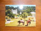 ROCHECORBON CHATEAU DE LA TAISSERIE GOLF MINIATURE RELAIS EQUESTRE BAR - Rochecorbon