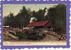 Lumber Camp And Saw Mill In The Catskills, NY  1900s - Catskills