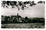 Pouilly Sur Loire - Vue Générale - Pouilly Sur Loire