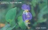 # KOREA MO9708124 Dayflower Spiderwort 2000 Autelca 08.97 -fleurs,flowers- Tres Bon Etat - Corée Du Sud