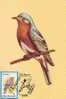 M36 Cartes Maximum Maxi Card Romania Bird Oiseaux Sialia Sialia Very Nice - Patrijzen, Kwartels