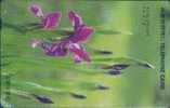 # KOREA MO9704109 Blood Red Iris 2000 Autelca 04.97  -flowers,fleurs- Tres Bon Etat - Corée Du Sud
